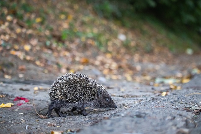 一系列低调 一系列低调