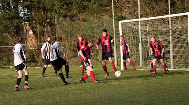 有助于加强 有助于加强