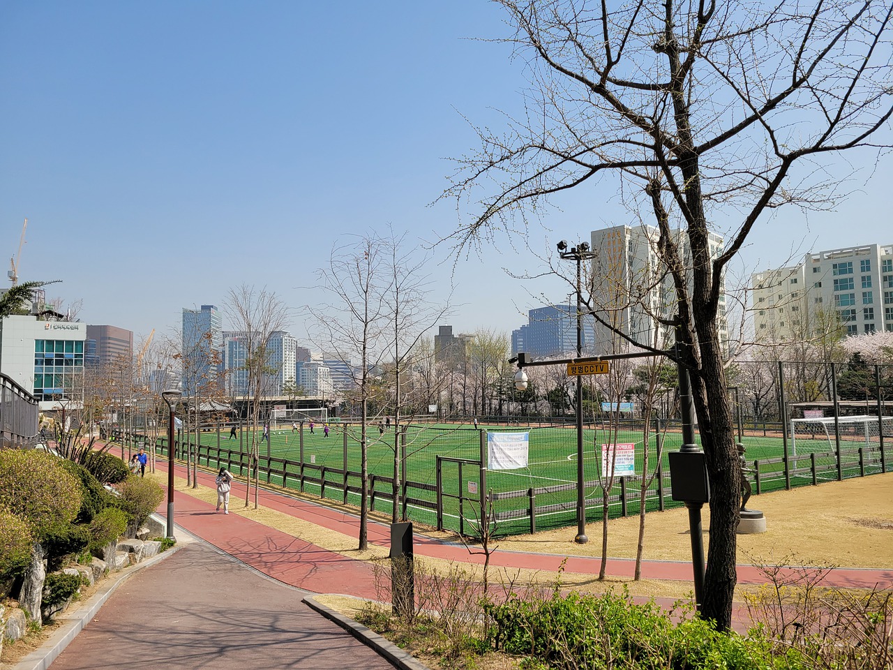 联想到自然 联想到自然