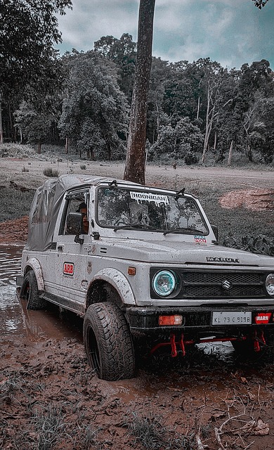 伤病问题 伤病问题